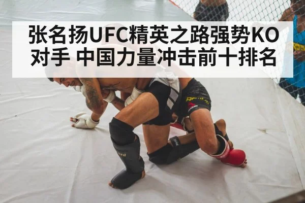 张名扬UFC精英之路强势KO对手 中国力量冲击前十排名