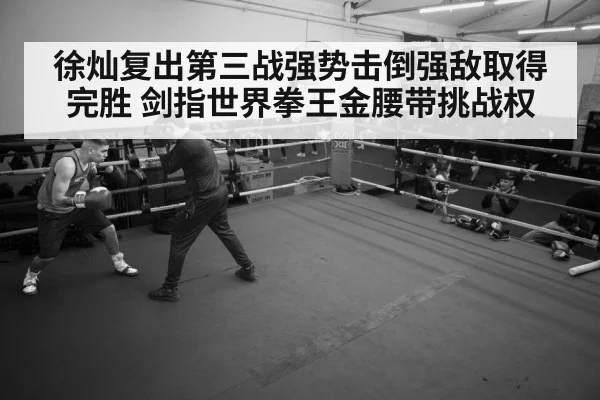 boxer training gym