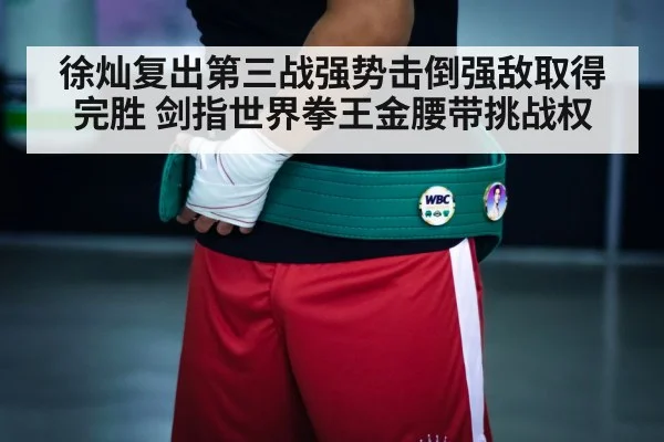 boxing championship belt