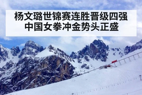 杨文璐世锦赛连胜晋级四强中国女拳冲金势头正盛